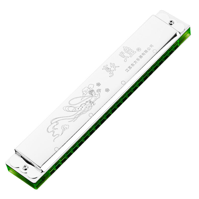 敦煌口琴24孔复音成人初学入门演奏复古绿格子口琴12调全可免费刻