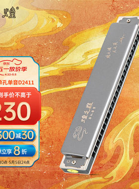 敦煌煌之巅24孔单孔单音口琴灰色D2411C调专业演奏