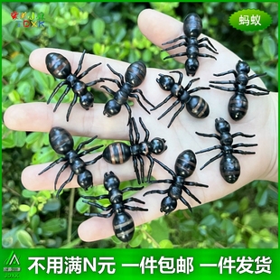 仿真蚂蚁大小号幼儿园教学用品儿童玩具认知可爱可爱昆虫动物模型