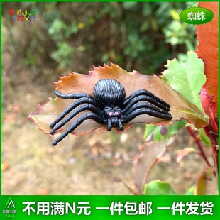 幼儿园儿童认知玩具礼物昆虫动物模型 仿真蜘蛛蚂蚁黑色大小号套装