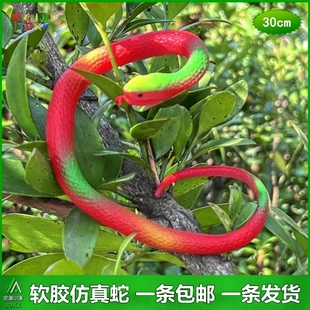 红色软胶小蛇宝宝仿真蛇儿童玩具蛇迷你橡胶假蛇吓人吓人动物模型