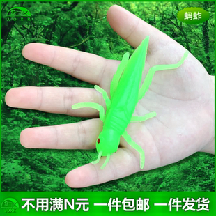 软胶仿真蚂蚱蜢荧光绿色蝗虫幼儿园儿童玩具静态昆虫塑胶动物模型
