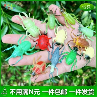 幼儿园儿童玩具认知可爱假昆虫动物模型 仿真小蜘蛛甲壳虫12只套装
