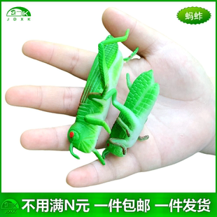 软胶仿真蚂蚱蚱蜢蝗虫幼儿园儿童玩具钓鱼路亚假饵料昆虫动物模型