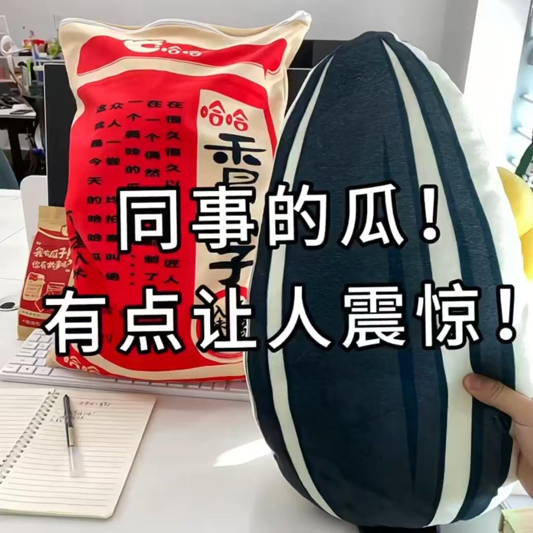 瓜子抱枕一包香瓜子靠枕仿真洽洽毛绒玩具沙发办公室座椅坐垫靠垫