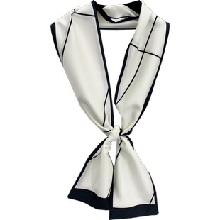 细窄丝巾小长条女春秋新款时尚百搭发带领巾洋气装饰夏季搭配衬衫