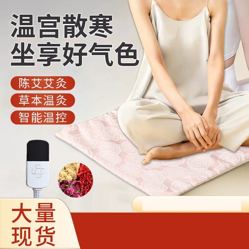 蒲健宁艾草坐垫绸缎面料电加热敷理疗艾灸坐垫养生垫可调温艾绒垫