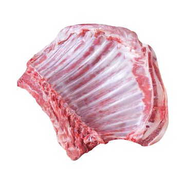 内蒙古羊肋排新鲜羊排羊肉半成品烧烤食材商用批发羔羊肉排2斤4斤