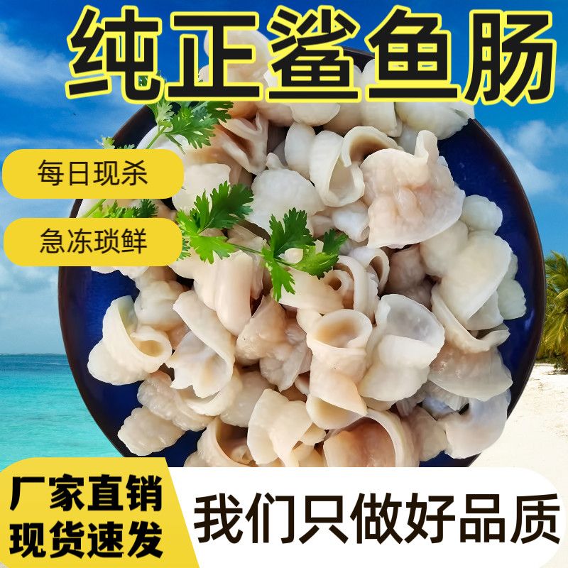 新鲜脆肠脆红肚鲨鱼肠鲨鱼肚鱼胶深海肚丝鱼肠火锅烤串麻辣烫食材