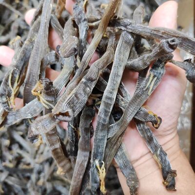 东山岛沙虫干海鲜特产野生黑沙虫