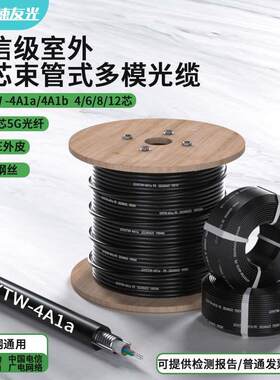 速友光 室外4芯光缆8芯6芯12芯24芯多模铠装光缆线四芯八芯十二芯