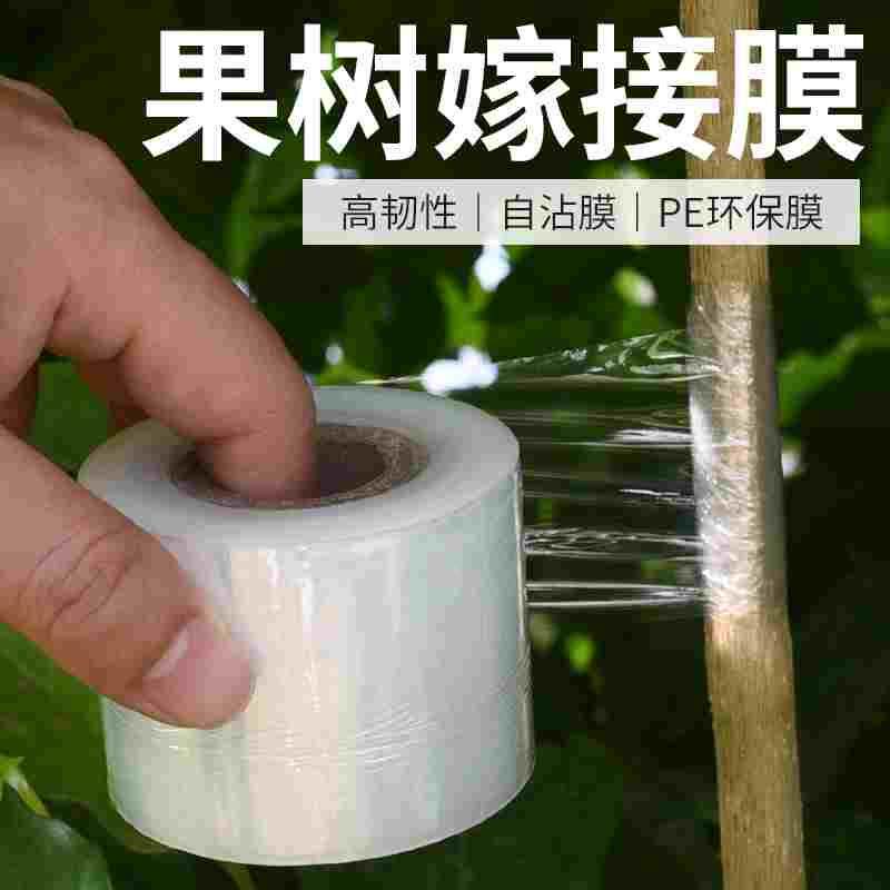 嫁接膜自粘式无需打结专用膜果树绑带包扎带缠绕膜免拆塑料PE苗木