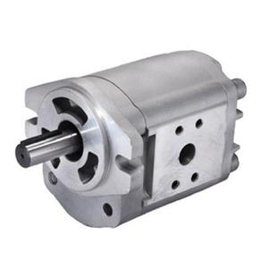 26外齿轮泵浦 裁断机专用齿轮泵DEGB DEGB 22R全懋油泵CML台湾原装