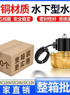 水下防水电磁阀可泡水喷控制阀IP68/4分/6分/1寸DN15/20/25/32/40