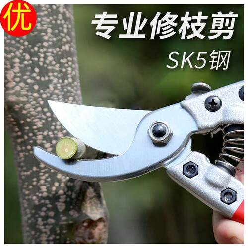 剪枝剪刀果枝剪刀果树剪家用花剪修剪树枝剪刀果枝剪省力园艺剪刀
