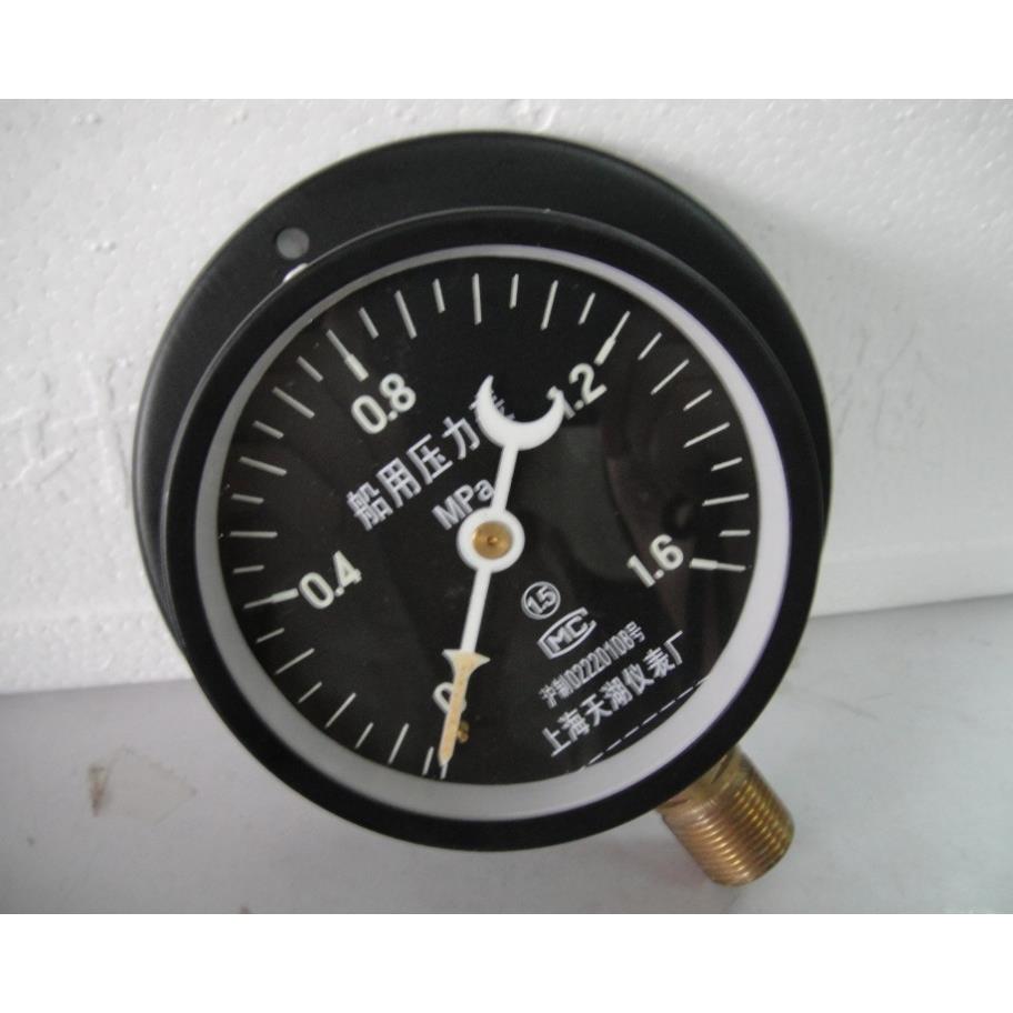 船用压力表Y-100T 0-0.6/1/1.6MPA径向带后边带夜光压力表 全规格