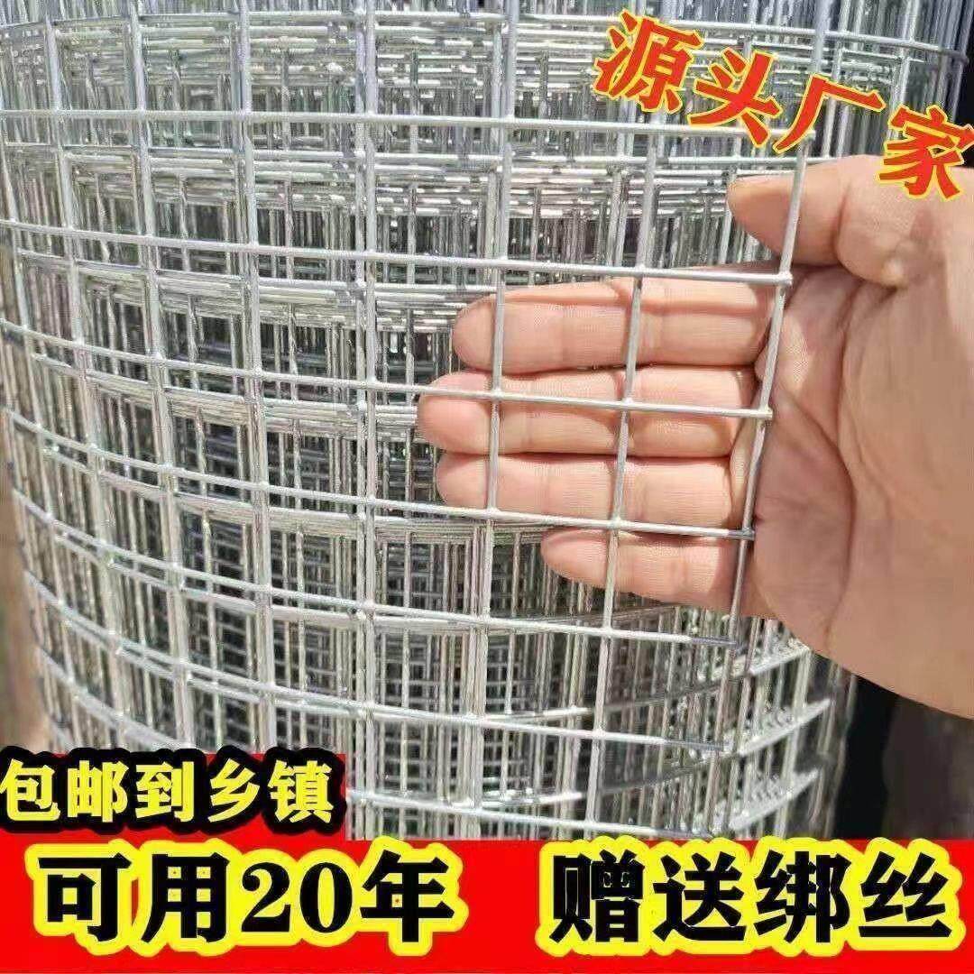 热镀锌铁丝网围栏网养殖网钢丝网拦鸡网建筑网防护网铁网格玉米网