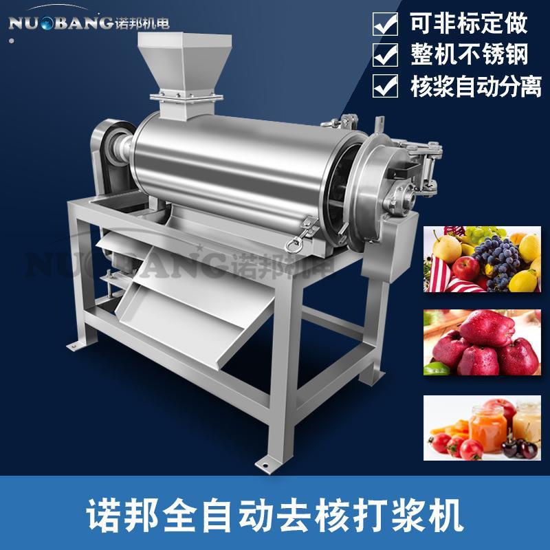 现货提子去核打浆机商用荔枝去皮去核设备大石榴打浆设备