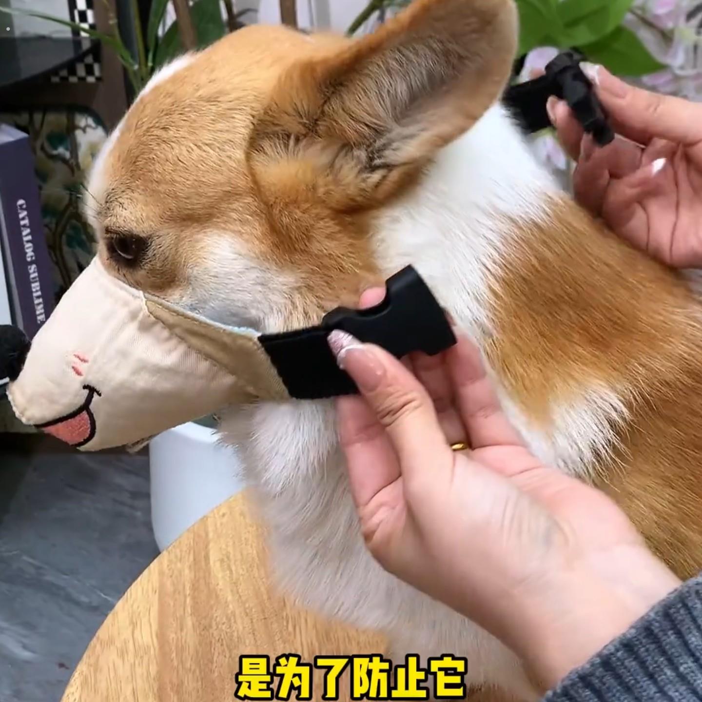 狗狗嘴套防咬防叫止吠口罩外出遛狗防乱吃神器大中小型犬宠物用品