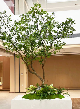 模拟马醉木大型室内模拟绿色植物窗口景观马醉木假树可达奢华简单