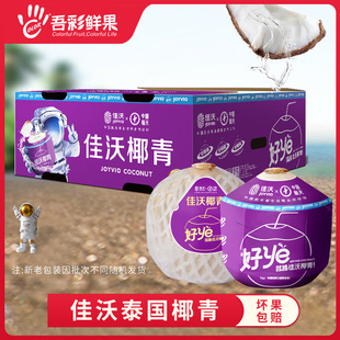 佳沃泰国椰青9个中果新鲜香水奶椰孕妇水果进口送开椰器