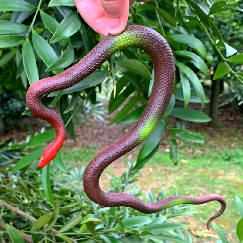 软胶蛇仿真整蛊小蟒蛇幼儿园儿童