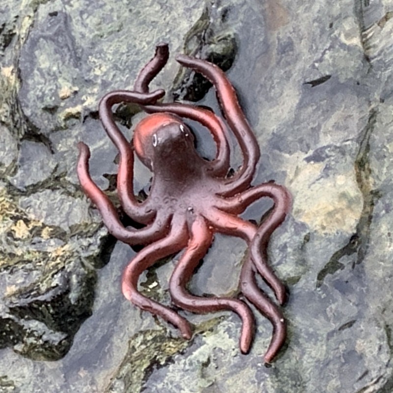 软胶仿真章鱼假八爪鱼超市卖海鲜摆件幼儿园儿童玩具海洋动物模型,玩具/童车/益智/积木/模型,仿真/动物玩偶,淘宝优惠券,粉丝福利购,淘宝优惠卷