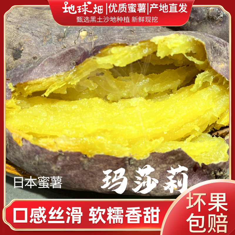 【地球畑】日本玛莎莉红薯黄金蜜薯高端红薯