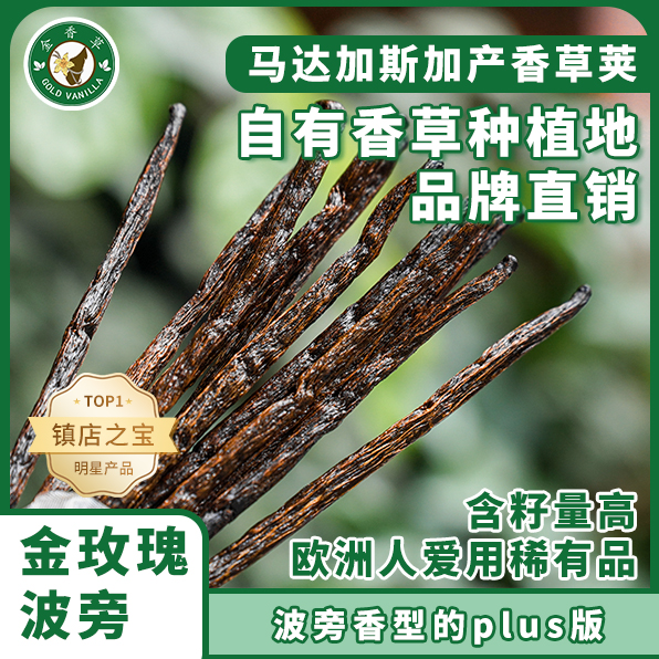 稀缺罕见金玫瑰波旁品种马达加斯加香草荚香子兰豆荚香草条烘焙用