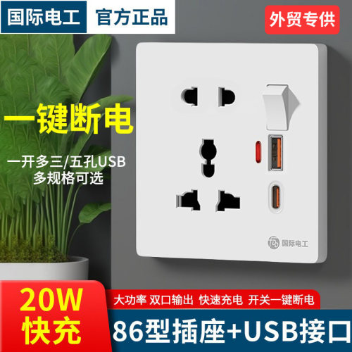 国际电工五孔USB带开关双输出口