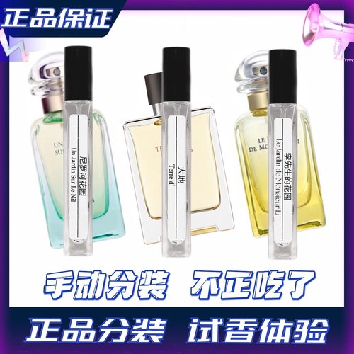 大地尼罗河花园李先生橘彩星光香