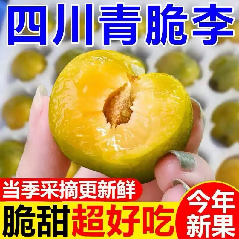 正宗四川青脆脱骨李整箱李凤凰脱骨现摘新鲜孕妇水果包邮