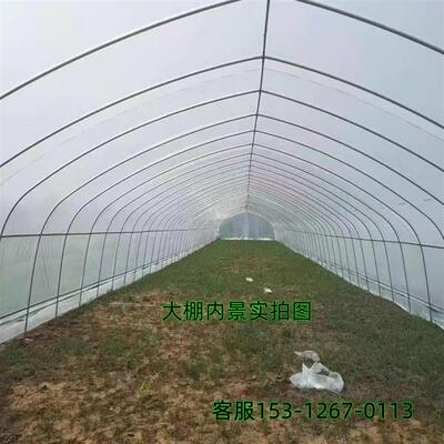 现货热镀锌温室蔬菜大棚骨架钢管 养殖种植大O棚架全套送膜 抗风