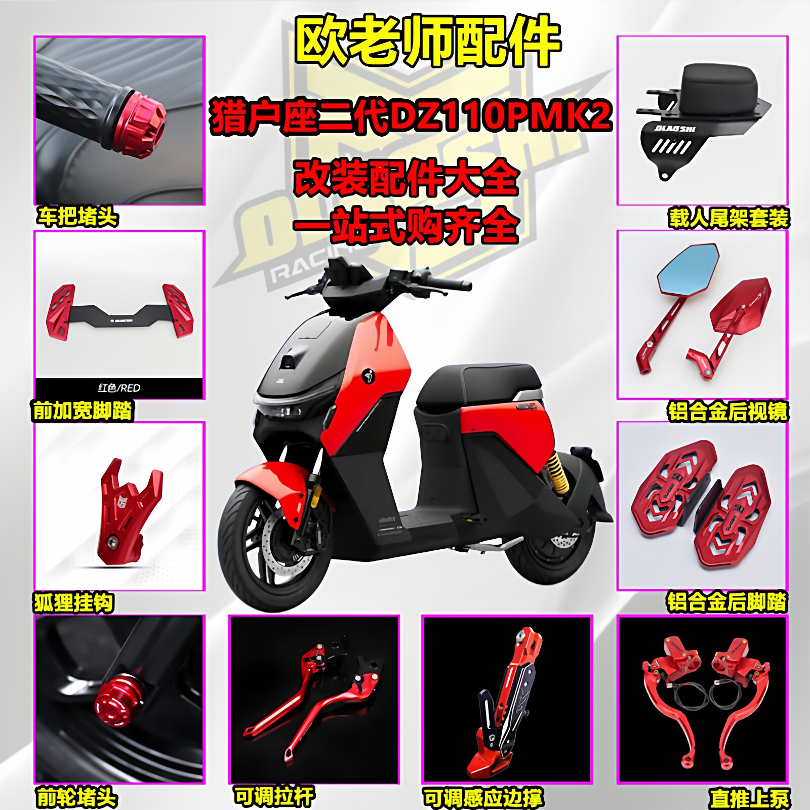 欧老师九号猎户座Dz110P改装配件