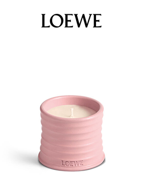 【节日献礼】LOEWE罗意威常春藤系列香氛香薰蜡烛植物居家