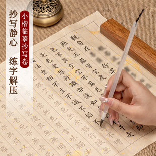 小楷临摹字帖抄经临摹本静心手抄行书练字帖成人软笔静心毛笔金刚地臧菩萨王本愿经药师临摹地藏经书抄写套装