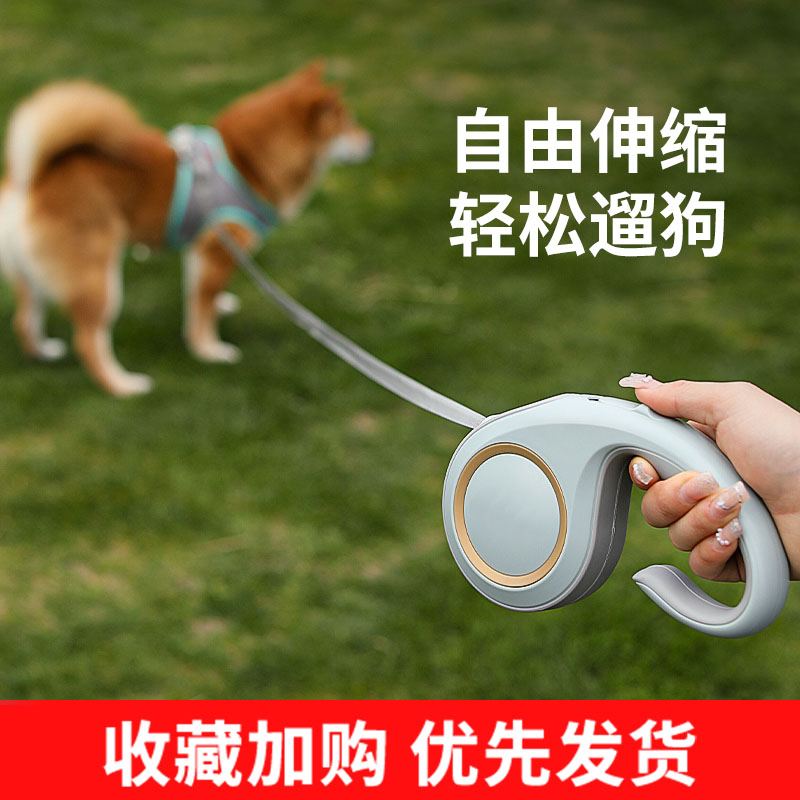狗狗引绳狗绳遛狗绳自牵动可缩防挣脱中小型犬泰伸迪柯基宠子物用