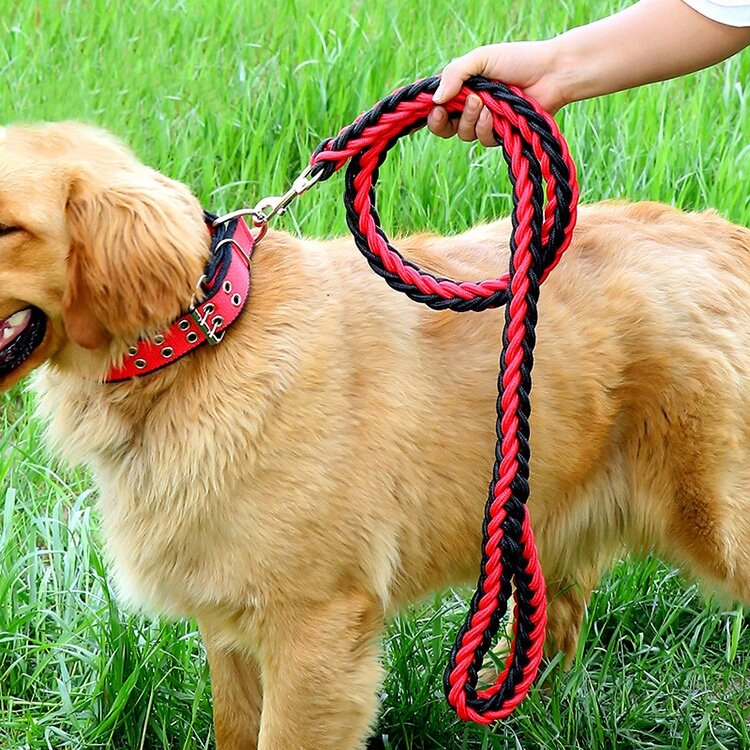 大型犬专用狗绳牵引绳金毛中型大型犬狗绳小型犬宠物项圈铁链