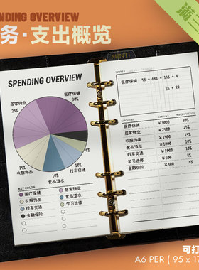 财务 | 支出概览Finance可打印手账内页可视化图表财务计划理财