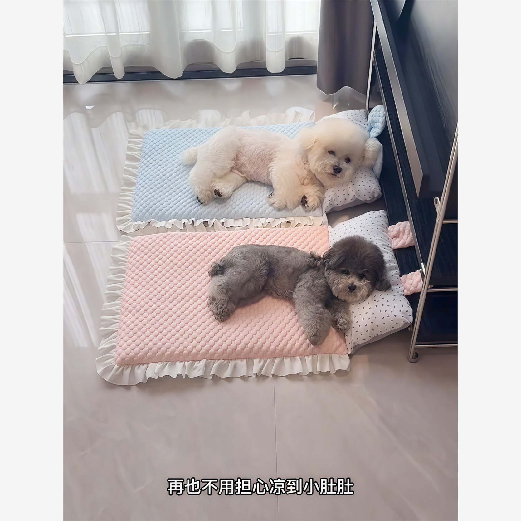 宠物冰垫夏天降温凉垫狗垫子可拆洗狗窝小型犬猫垫子睡觉用不粘毛