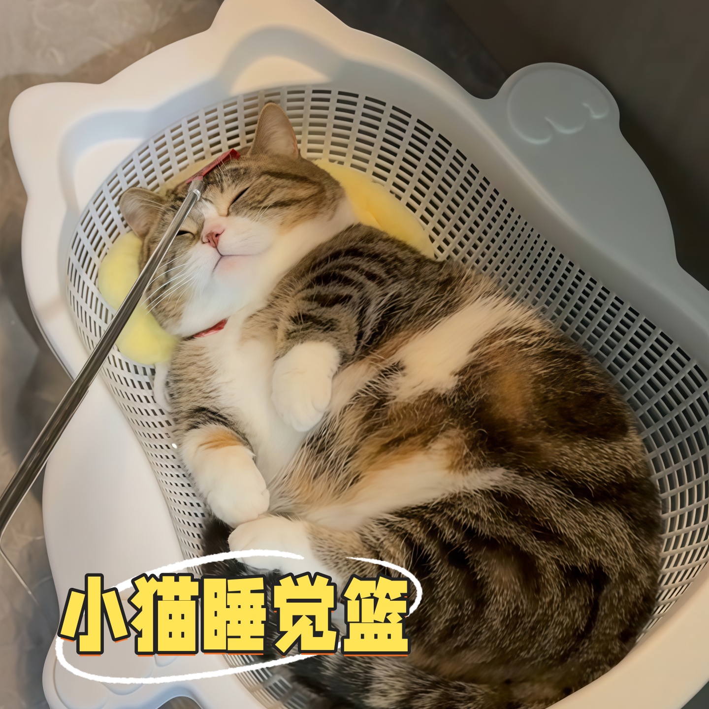猫睡觉的窝新式猫窝四季通用新型不占地猫窝垫子夏季猫咪用品大全