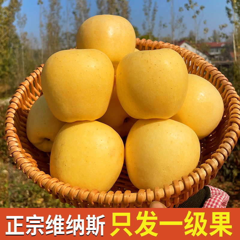 维纳斯黄金苹果原产地直发