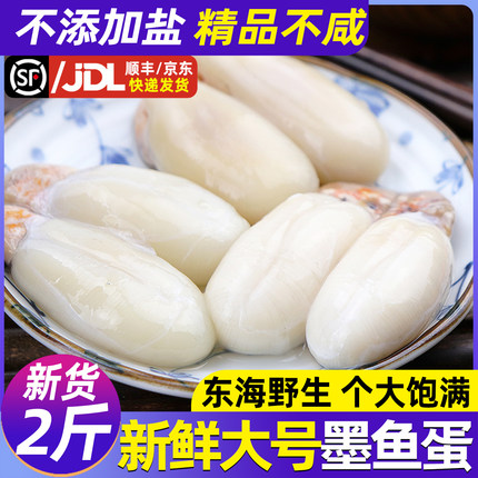 精品大号墨鱼蛋宁波特产淡味无加盐渔家东海野生新鲜目鱼蛋乌贼蛋