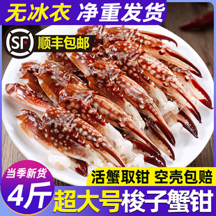 梭子蟹钳鲜活冷冻螃蟹腿沙蟹脚大号海蟹钳飞蟹钳海鲜水产酒店商用