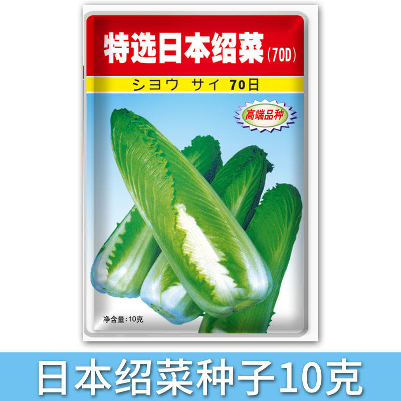 日本绍菜种子大白菜种籽早熟秋白菜龙牙白菜农家四季种植蔬菜种孑属于什么档次？