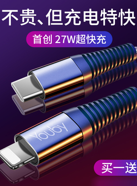Youby适用于苹果数据线iPhone13快充12promax闪充电x平板pd车载20w加长typec器tpyec转lightin手机11防折断7