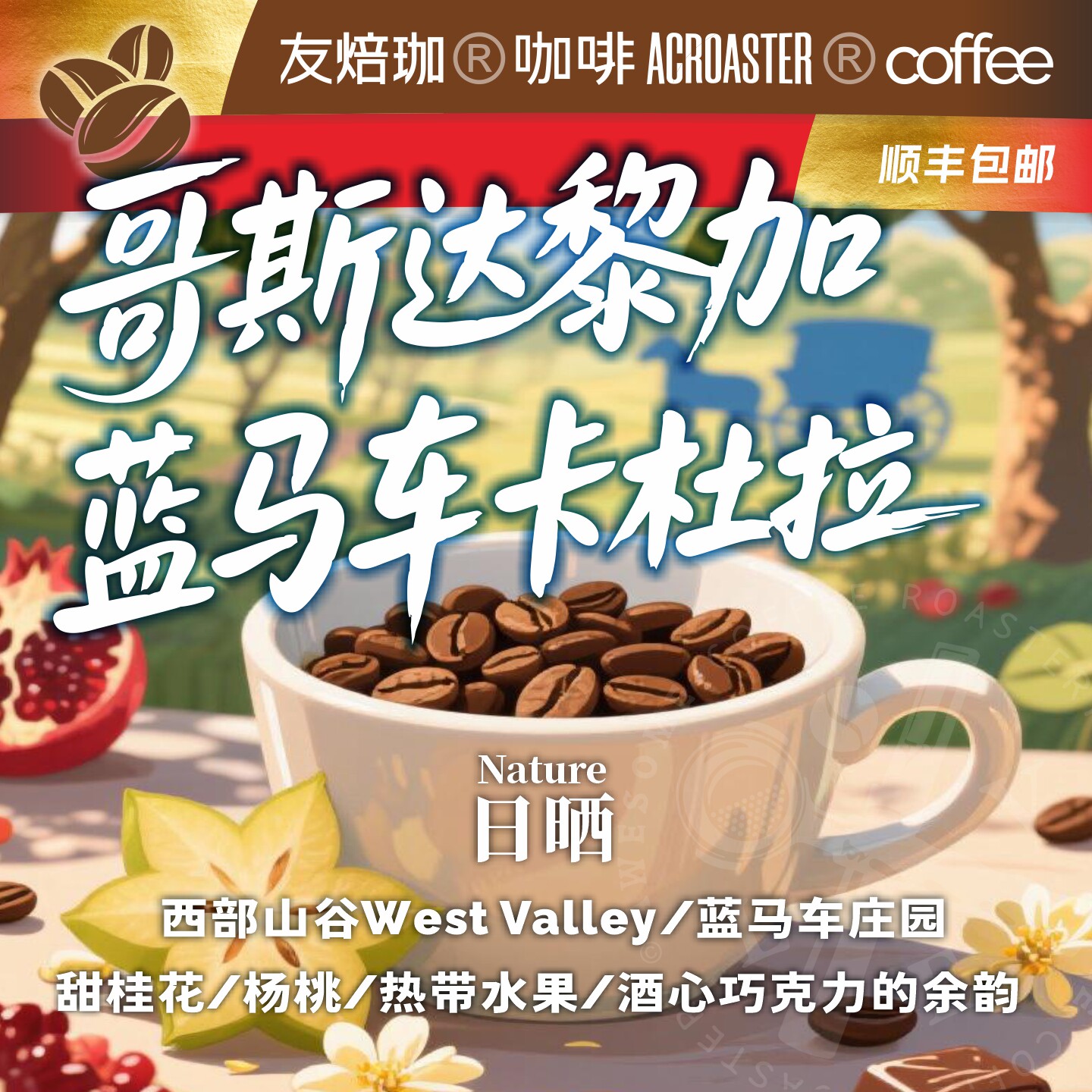 友焙珈哥斯达黎加蓝马车庄园卡杜拉精品咖啡豆美式手冲冷萃单品