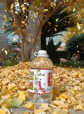 泸州洞藏酒老酒洞藏纯粮酒