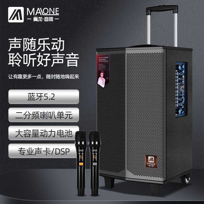 曼龙音响户外唱k歌木质演出音响8/15寸大功率重低音箱/10/12