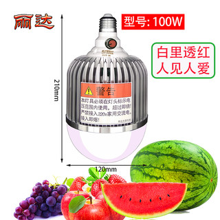 调颜色水果生鲜增艳灯夜市摆摊用电瓶LED全彩12v24v48v60v72vE27